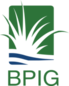 BPIG Logo